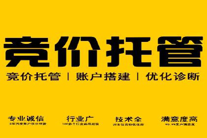 SEM广告投放策略案例分析